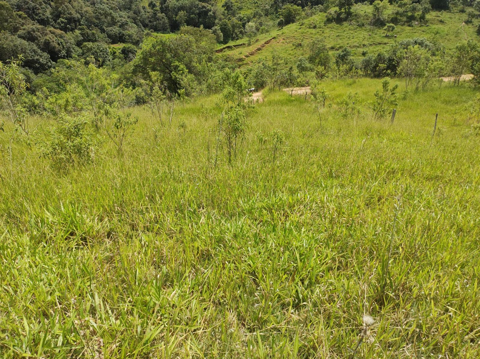 Terreno em Itapeva
