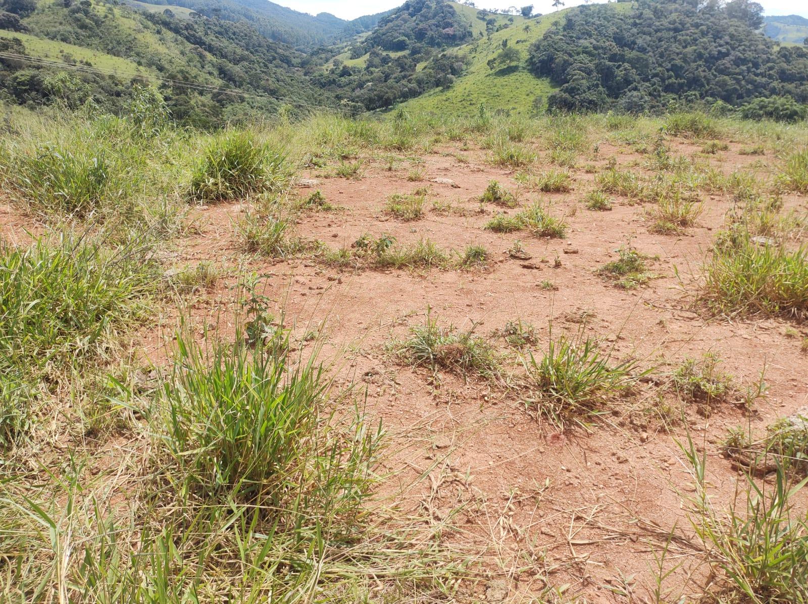 Terreno em Itapeva