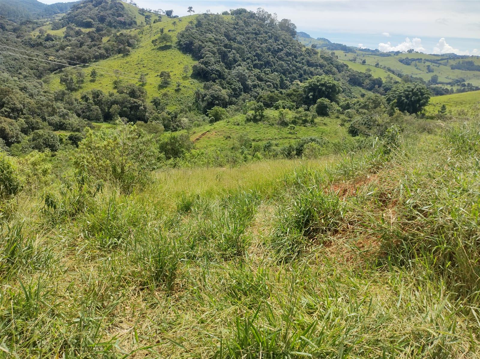 Terreno em Itapeva
