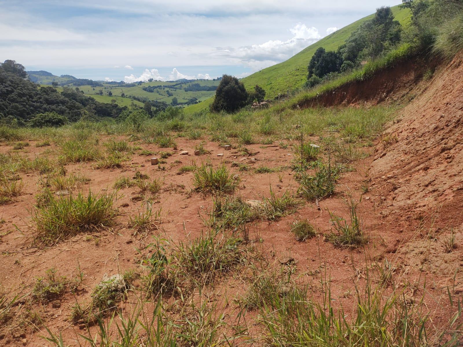 Terreno em Itapeva