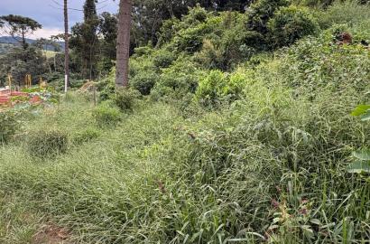 TERRENO NO PIRES