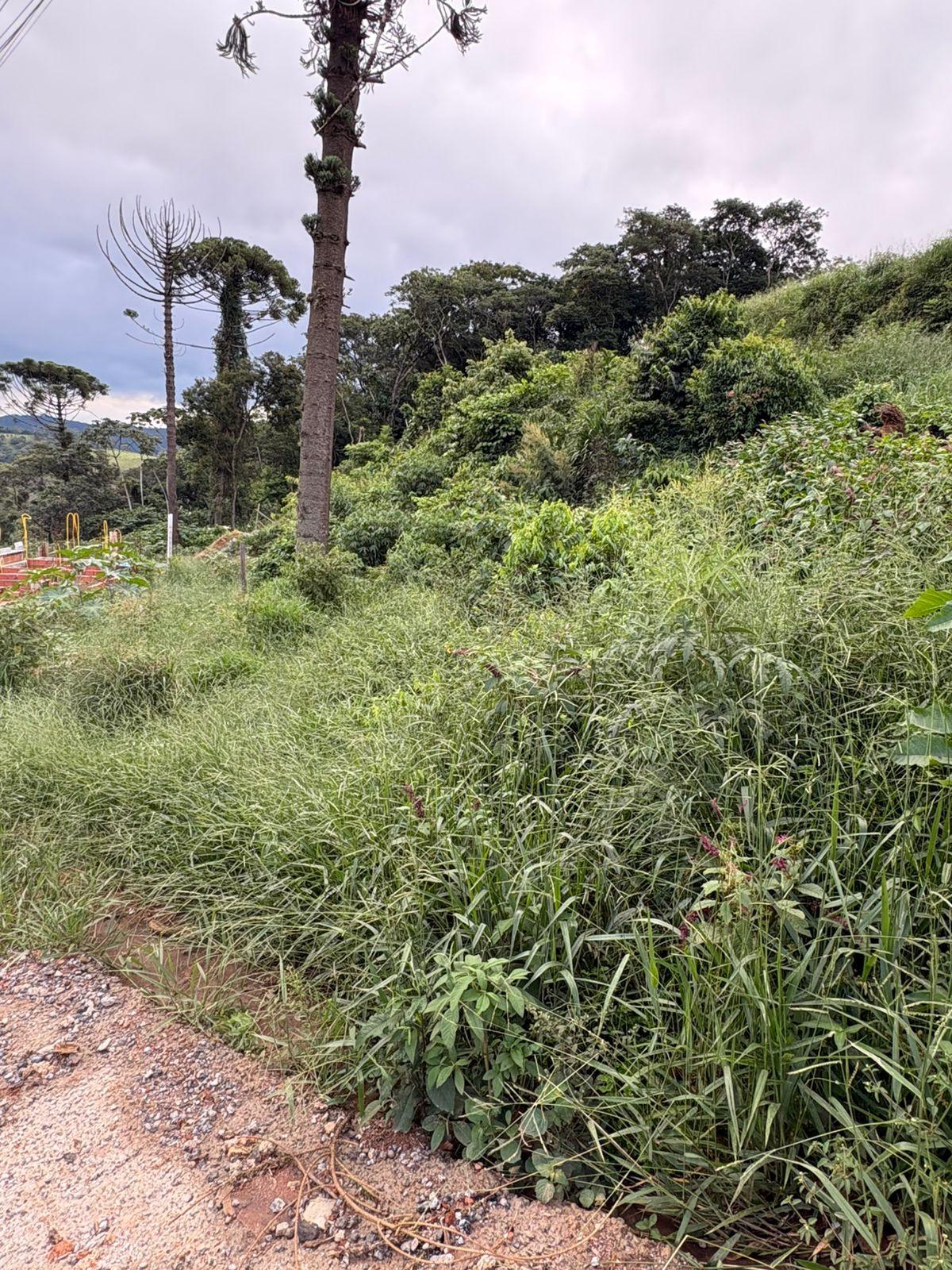 TERRENO NO PIRES